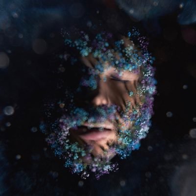 @willselviz