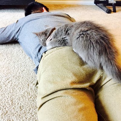 asiantricK's profile picture. 