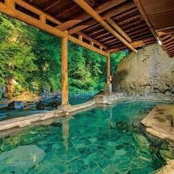 Hugli27's profile picture. 断食とファスティングで解毒