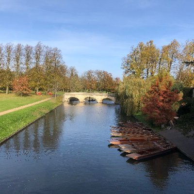 better_language's profile picture. Passionate about languages and language learning...... visit https://t.co/n2H91lCj4H for free resources, blogs and publications which are coming out soon..