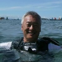 Harry Chan (@harrych08805003) 's Twitter Profile