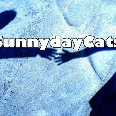 SunnydaycatsB Profile Picture
