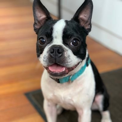 suthidas's profile picture. A designer and photographer. A mom, a wife, a daughter, a golfer. Life is too short - Enjoy it!