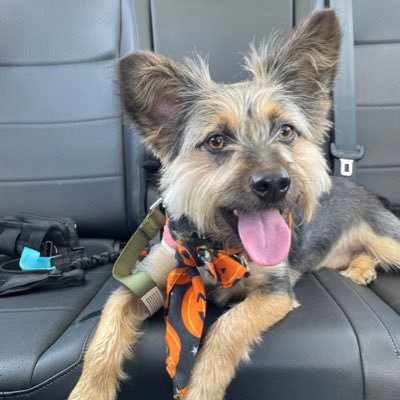 Erica_Pence's profile picture. 