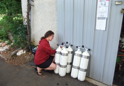 _Picea_'s profile picture. All Flash No Substance.