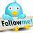 Team_Shoutouts gives followers SHOUTOUTS! Just CLICK FOLLOW and ASK US FOR A SHOUTOUT, NO SPAMMING just helping people gain followers✔