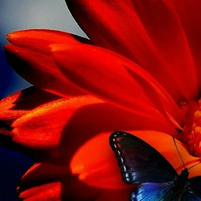 dvcummings4's profile picture. 