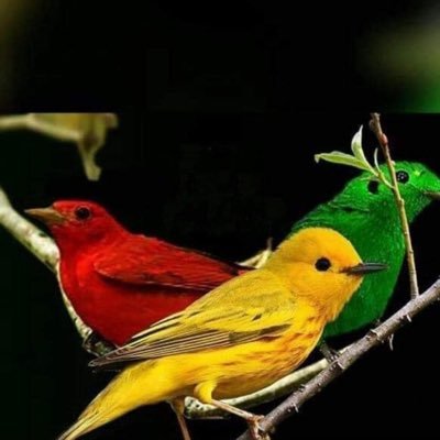 Clay58017861's profile picture. Registered Engineer