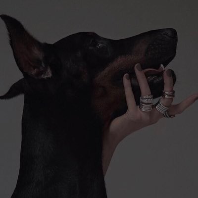 Adela_Sere's profile picture. #