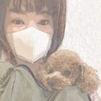 夢🌈(@yumecoco11) 's Twitter Profile Photo