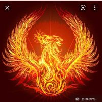 Phoenix Rising π¦πΊπ°π (@neildphoenix) 's Twitter Profile