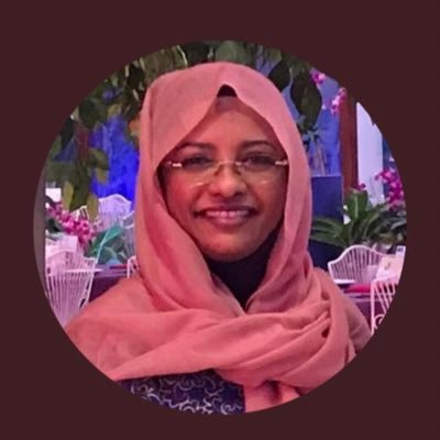 Writer & Researcher, futurologist, Political analyst، Ambassador , consultant .حساب بديل