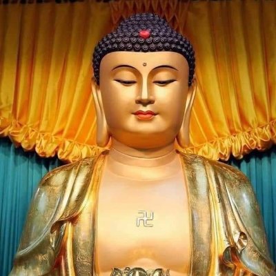 anhoaian2's profile picture. 