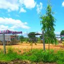 Monika Green Leaves🌿 - @LeavesMonika - Twitter