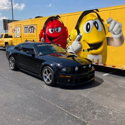 AmyAlle25754799's profile picture. Love Mustangs and cats