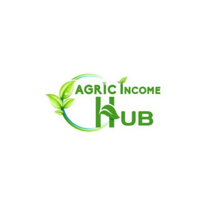 Agricincome Hub helps bridge the information and technology gap to increase agricultural productivity. CEO @olaoluwafaro