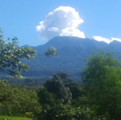 abogado penalista, sagitario, amante de los deportes, naturaleza, la cocina y buena música. 2 hijos y 2 nietos maravillosos, club de leones chame-gorgona