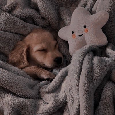 kmkamint's profile picture. 😀 Don’t give up 🌪 金鉎月