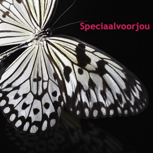 SVJwebwinkel's profile picture. OPHEFFINGSUITVERKOOP!!  http://t.co/BZNR62oqp3