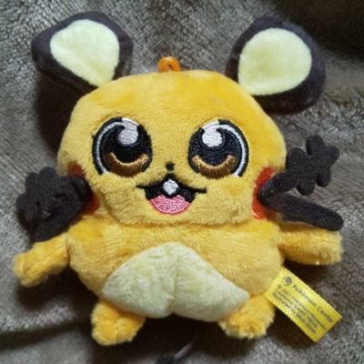 medicalcoding23's profile picture. 人に振り回されています。