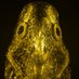 TheYunLab (@maxyunlab) Twitter profile photo TheYunLab (@maxyunlab) Twitter profile photo