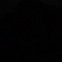 t (@waltera07840678) 's Twitter Profile