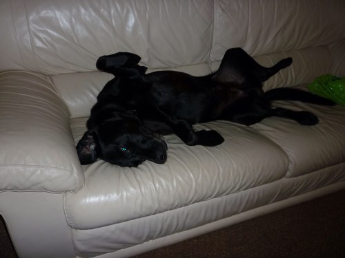 sueward1964's profile picture. mum, nurse, partner, daughter, sister, auntie, etc