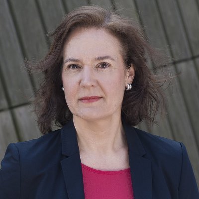 Claudia Mahler - UN Independent Expert Profile