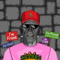 Im Frank Polygon NFT (@nftboomofficial) 's Twitter Profile