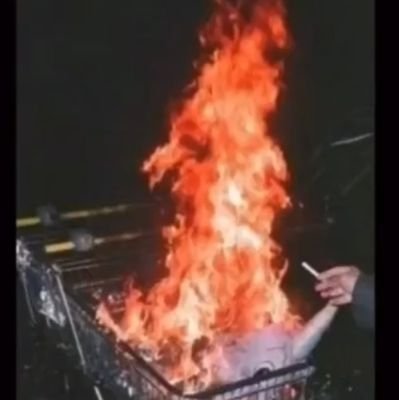 231Atlas231's profile picture. Uh.. yeah

19

Trans (ftm, he/him/they/them)

Dont question the things i like or repost