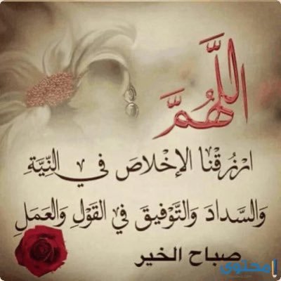 h7a7s7n7's profile picture. 