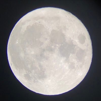 midori06131006's profile picture. 