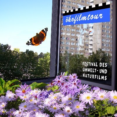 Festival des Umwelt- und Naturfilms