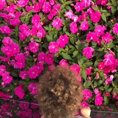 Sociologist at KCL : ageing, (non)reproductive biographies, public health.