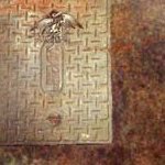 soshunetwork's profile picture. 