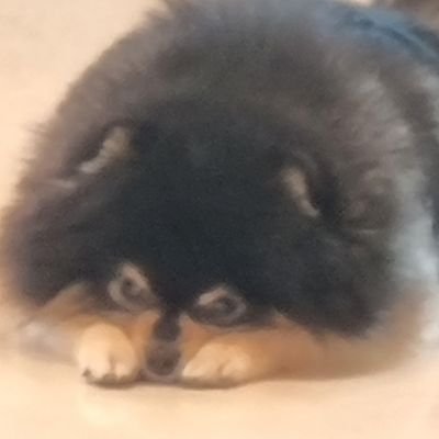 Jkv41749381's profile picture. Where should I be?