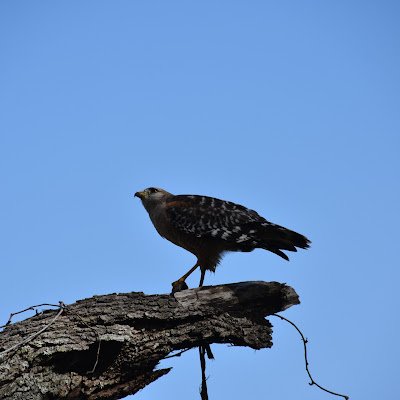 ArtBurl's profile picture. 