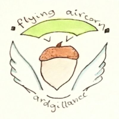 Flying Aircorn CanSat Team