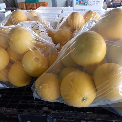 39lAUuP6xiMuPqe's profile picture. 八百屋