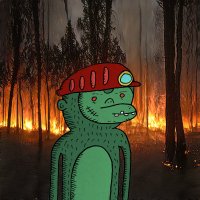 Pombachu (@pombachu) 's Twitter Profile