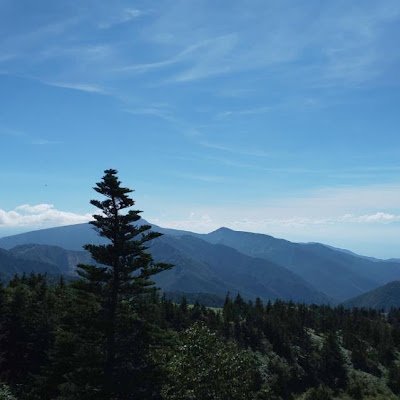 歩木目いらしさんのプロフィール画像