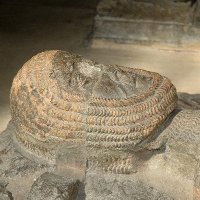 Medieval History Buff (@medievalhtybuff) 's Twitter Profile