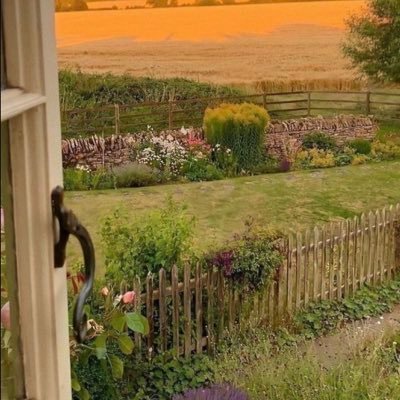 F_AJ2020's profile picture. "أزهرتُ في ركنٌ من نور" @CBEQU #Accounting