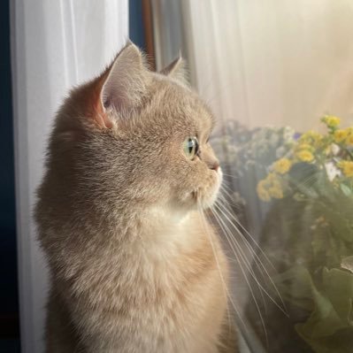 elifdogan_25's profile picture. 