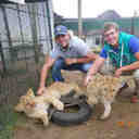 Dalton Davis - @davis87dalton - Twitter