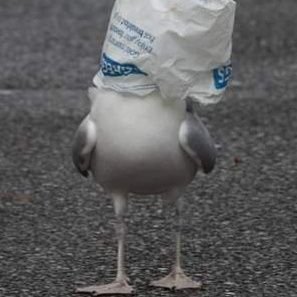 freespiritstu71's profile picture. freespiritstu.lee@gmail.com