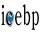 The ICEBP is the International Consortium for Evidence-Based Perfusion.