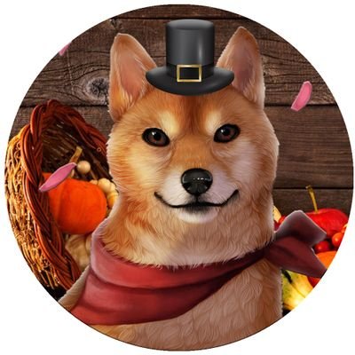 DogeGiving coin image
