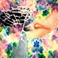 bumblebreeze DIVEST (@siberianpine) 's Twitter Profile