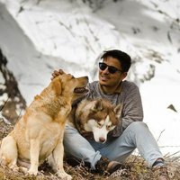 The Himalayan Husky (@himalayanhusky2) 's Twitter Profile
